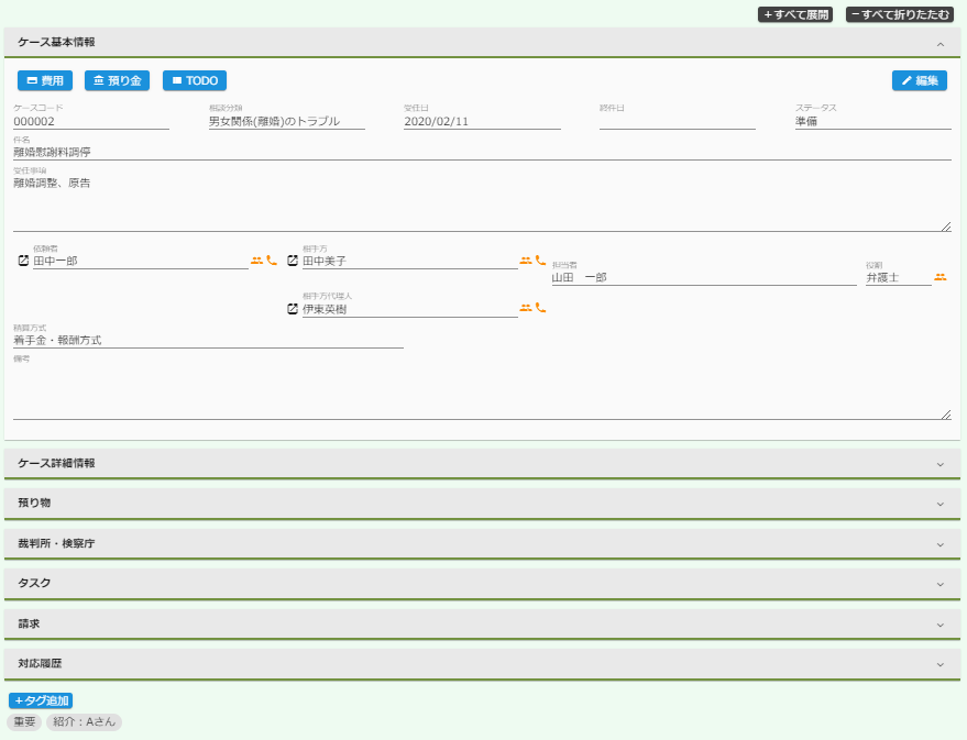 ケース詳細画面の初期表示状態