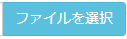 データ一括登録.ファイルを選択ボタン